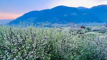 Goroomgo Sakura Palace Manali