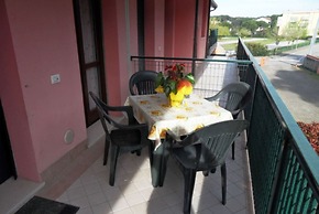 Green Oasis Close to the Center