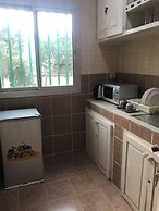 Summit palace international