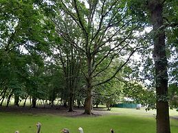 Little Greenwood Shepherd Hut