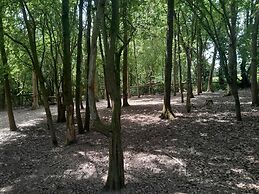 Little Greenwood Shepherd Hut