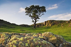 Tranquil 3 Bed - All En Suite - Cottage in Hexham