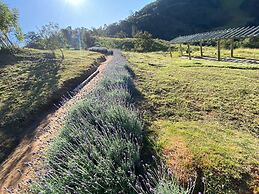 Pousada Casa Bambu Cunha