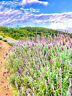 Pousada Casa Bambu Cunha