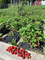 Charming Property With Private Pool