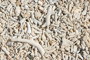 Another Sky Ishigaki Island