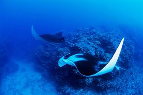 Another Sky Ishigaki Island