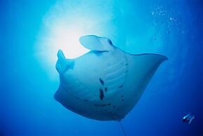 Another Sky Ishigaki Island