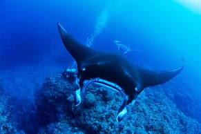 Another Sky Ishigaki Island