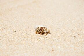 Another Sky Ishigaki Island