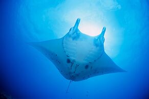 Another Sky Ishigaki Island