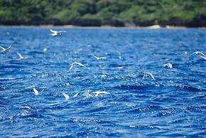 Another Sky Ishigaki Island