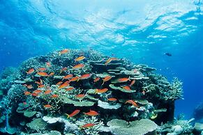 Another Sky Ishigaki Island