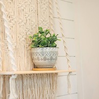 The Newtonian Tiny Container Home Near Magnolia