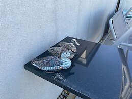 Contemporary Beachfront Bungalow With Direct Access to the Sea