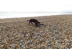 Exquisite Beachfront Residence With Luxurious Interiors The Cozy Clam 