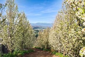 Skyline Views Yarra Valley s Elevated Escape