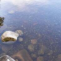 Red Cedar Haven in Sidney