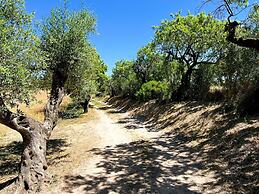 Unik Vacation La Noguera Rural Valls