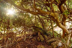 Unik Vacation Calafell Villa