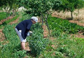 AGRITURISMO SCALELLE