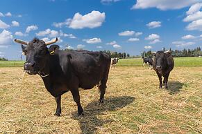 AGRITURISMO SCALELLE