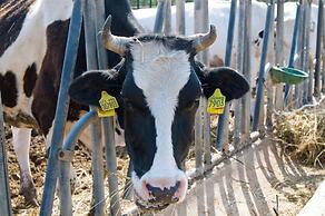 AGRITURISMO SCALELLE