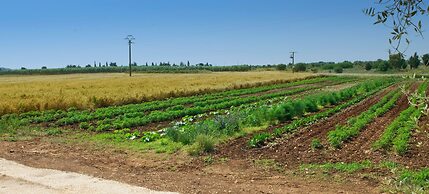 AGRITURISMO SCALELLE