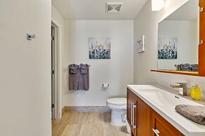 Delightful Downtown Modern Condos