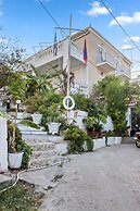 Seaview Splendor - Ostrella Summer Haven