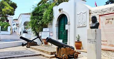 Seaview Splendor - Ostrella Summer Haven