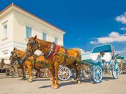 Seaview Splendor - Ostrella Summer Haven