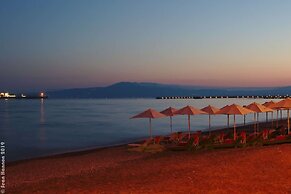 Urban Seaside Oasis - Adriana s Garden Paradise