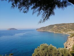 Cozy Summer Retreat - Perfect Location BBQ