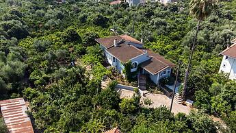 Serene Seaside Bliss - Lush Secluded Garden Oasis