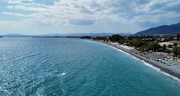 Downtown Central Suite With Private Parking