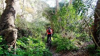 Cretan Magnolia Gem - Smari Cozy Getaway