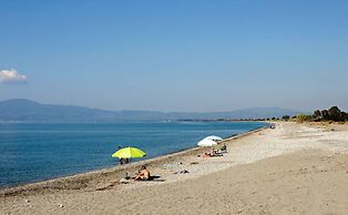 Urban Bloom Oasis - Mini Zen Maison