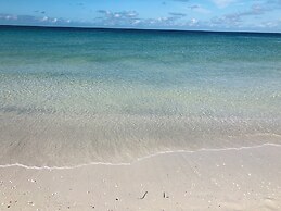 Tampa Heights Bungalow - Bed & Breakfast