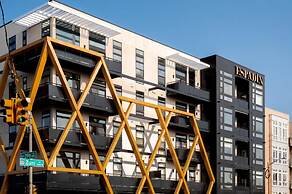 Serenity in Style | Espadin LoHi