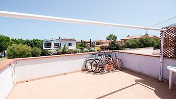 Corallo Blu in San Teodoro