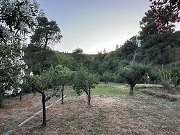 Eagle Nest Skiathos