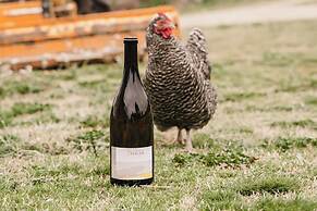 Domaine de Pélican