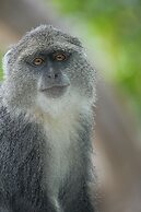 Eden Paradise Zanzibar