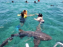 Miramar Villas Resort