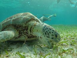 Miramar Villas Resort