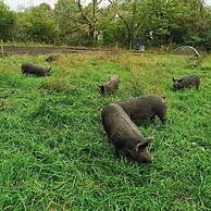 Countryside Cottage Retreat at Ty'r Cwm Farm