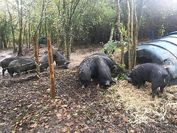 Countryside Cottage Retreat at Ty'r Cwm Farm