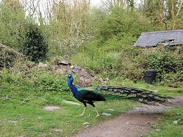 Countryside Cottage Retreat at Ty'r Cwm Farm