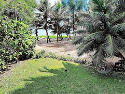 Natura Nikao Beach Villa